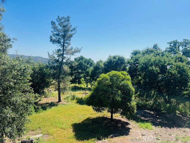 Detail Gallery Image 35 of 75 For 8697 Fraguero Rd, Sonora,  CA 95370 - 4 Beds | 2/1 Baths
