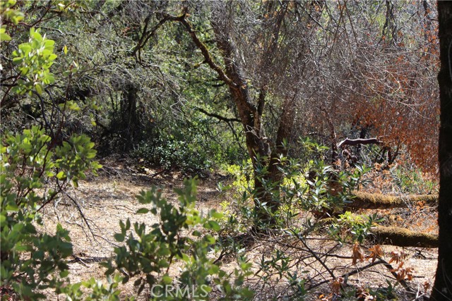 6366 Tully Road, Lucerne, California 95458, ,Land,For Sale,6366 Tully Road,CRLC23190421