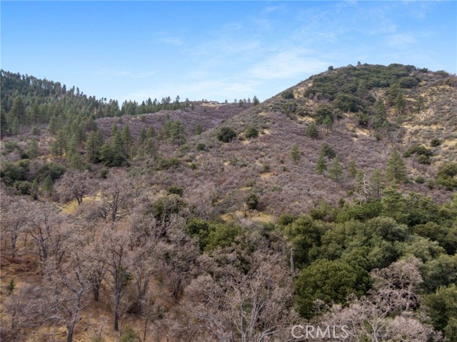0 APN#325-102-02, Alpine Forest CA: https://media.crmls.org/medias/f13aafec-d372-47a1-b1b2-559210e923c9.jpg
