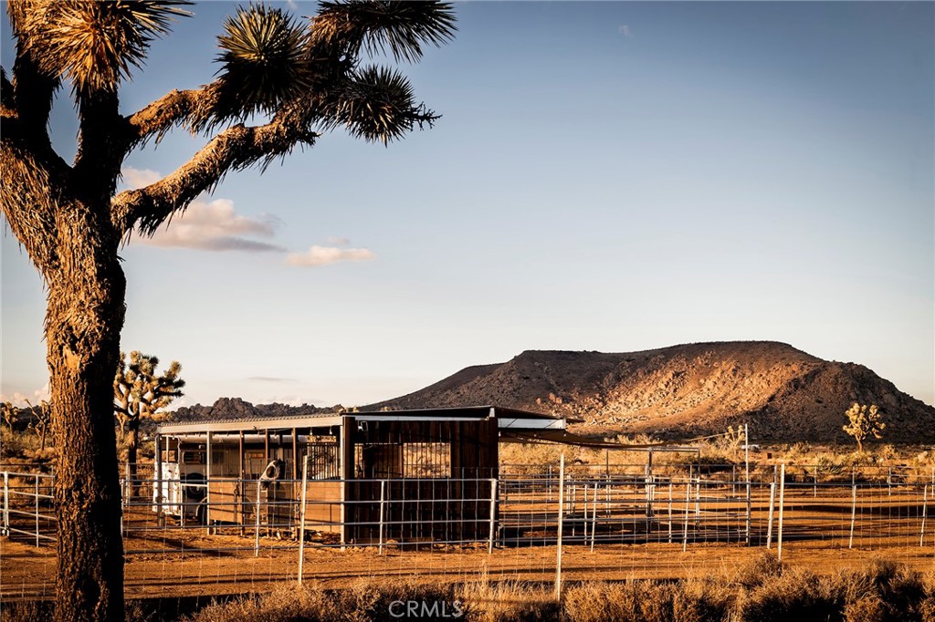 MLS #JT25252986 image #49