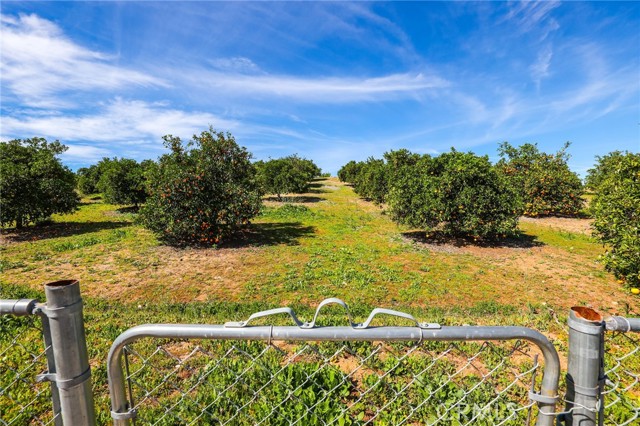 Detail Gallery Image 28 of 31 For 33743 Plowshare, Wildomar,  CA 92595 - 2 Beds | 2 Baths