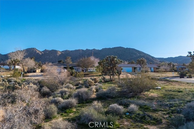 Detail Gallery Image 25 of 25 For 60432 Latham Trl, Joshua Tree,  CA 92252 - – Beds | – Baths