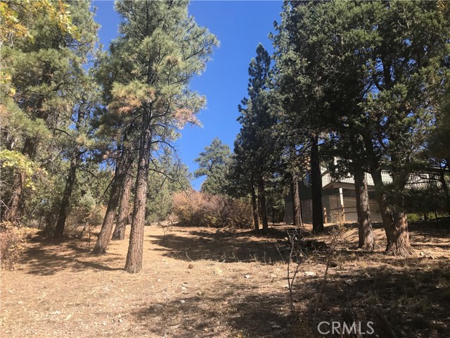 0 Sheephorn Rd, Big Bear City, California 92315, ,Land,For Sale,0 Sheephorn Rd,CRIG21227250