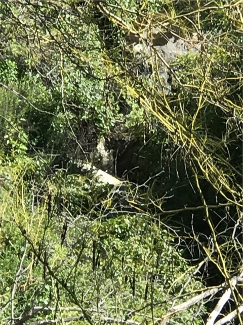 28291 Vista Del Valle, Hemet CA: https://media.crmls.org/medias/f14920b5-017c-4d0a-b818-89edaf7ee66e.jpg