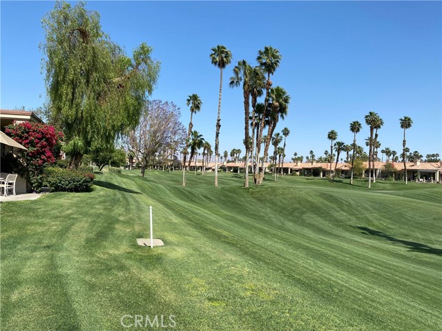 Image 7 for 76437   Violet CIR