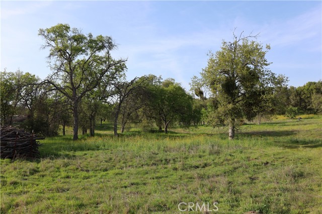 Detail Gallery Image 24 of 32 For 0 Douglas Rd, Coarsegold,  CA 93614 - – Beds | – Baths