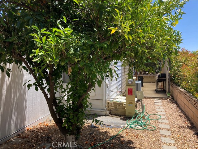 1107 Checkerberry Court, Hemet CA: https://media.crmls.org/medias/f161b122-baae-4f2e-bae3-1c37cc38427f.jpg