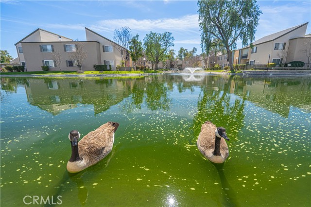 Detail Gallery Image 32 of 59 For 24430 Nicklaus Dr #L2,  Valencia,  CA 91355 - 3 Beds | 3 Baths