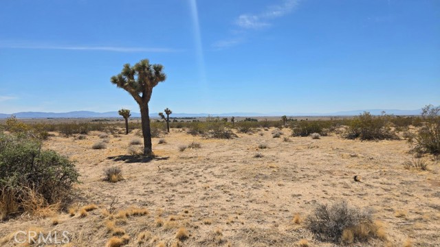 Image 11 of 21 For 0 147th St E Vicinity Capleton D