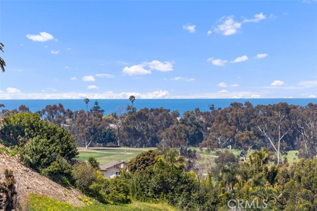 Detail Gallery Image 3 of 40 For 1311 Knoll Dr, Oceanside,  CA 92054 - 4 Beds | 2/1 Baths
