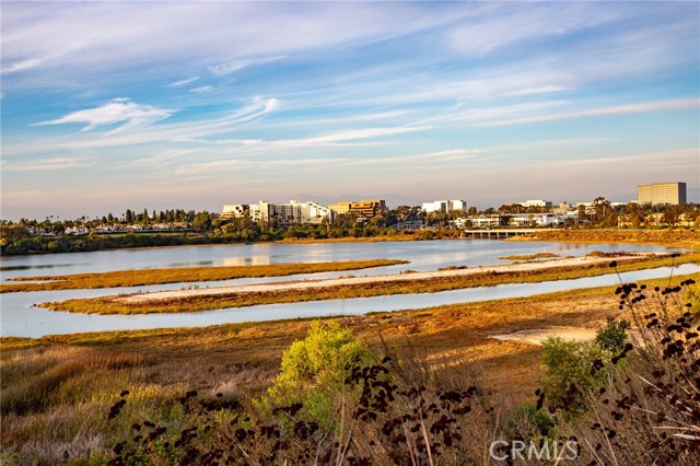 Detail Gallery Image 41 of 52 For 8145 Scholarship, Irvine,  CA 92612 - 2 Beds | 2 Baths