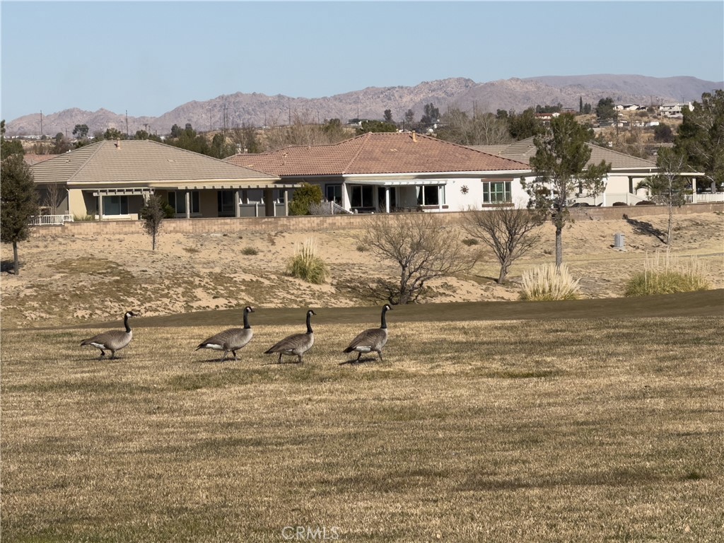 19655 Lucaya Court