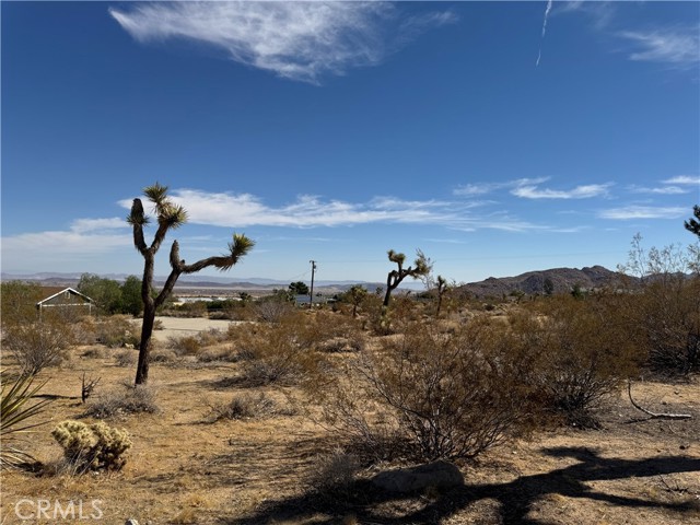 Detail Gallery Image 5 of 5 For 7217 Sunny Vista Rd, Joshua Tree,  CA 92252 - – Beds | – Baths