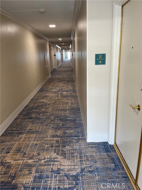 Front Image Thumbnail for CRPV26075337