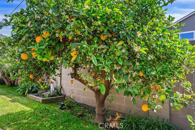 Image 32 of 33 For 4282 Crystal