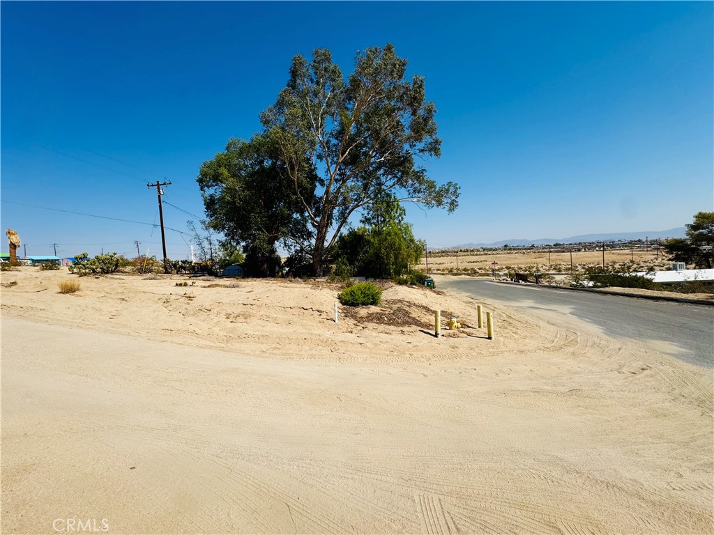 MLS #JT25177457 img 3