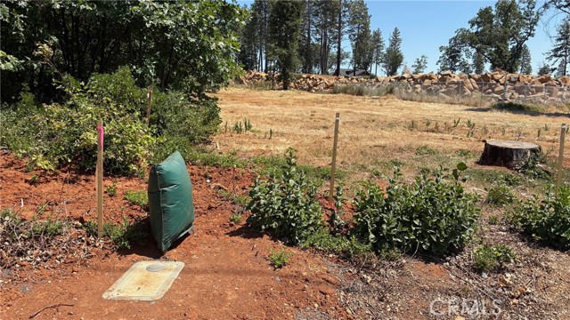 8746 Skyway, Paradise CA: https://media.crmls.org/medias/f190e63b-2f41-4d2e-9f3b-62ac5d8adc87.jpg