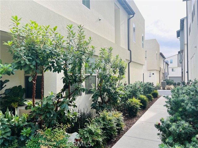 19545 Herringbone Drive photo 2