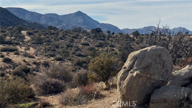 Detail Gallery Image 46 of 47 For 48317 Burns Canyon Rd, Pioneertown,  CA 92268 - 2 Beds | 1 Baths
