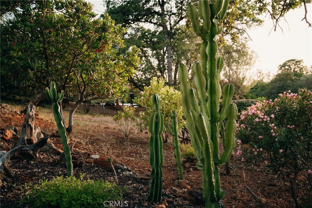 https://media.crmls.org/medias/f19a8d4d-cf65-4c05-b024-77d9125e84a2.jpg?preset=X-Large