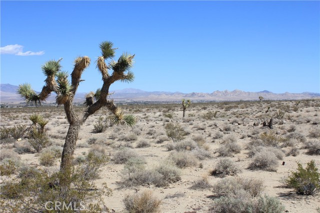 769 Meridian Road, Lucerne Valley CA: https://media.crmls.org/medias/f1a823c2-4b91-48ab-bb22-de3c42dc0fdc.jpg