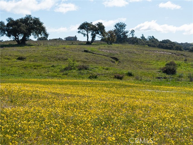 Detail Gallery Image 67 of 68 For 1172 Ginger Pl, Santa Maria,  CA 93455 - 3 Beds | 2/1 Baths
