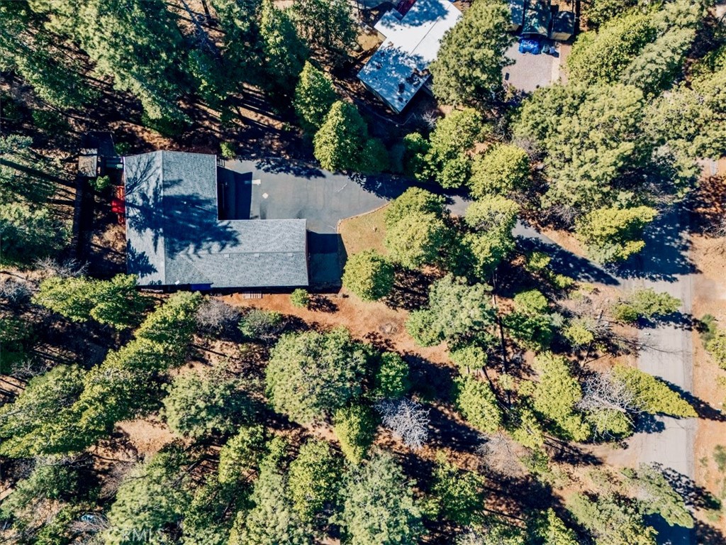 30821 Bambi Drive