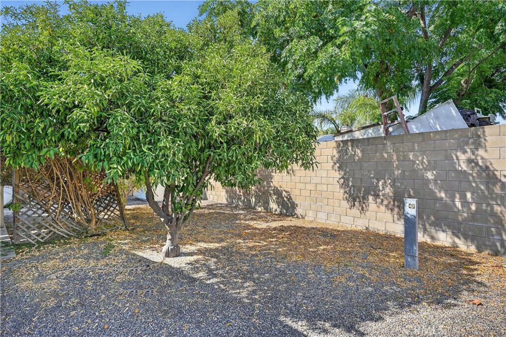 MLS #SW25217304 image #24