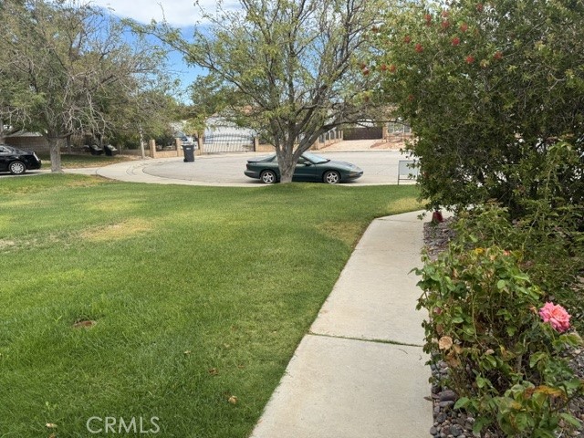 1148 Evergreen Ct, Rosamond, CA 93560 photo 44