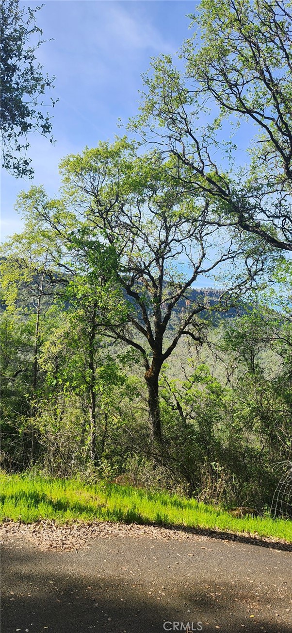 Detail Gallery Image 15 of 23 For 13566 Helltown Parcel 1, Chico,  CA 95928 - – Beds | – Baths