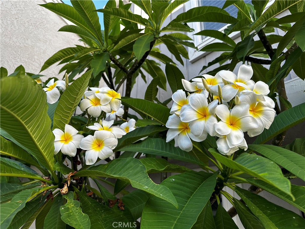 https://media.crmls.org/medias/f1bcfea7-9ce7-4908-a024-c8457fb5bf51.jpg?preset=X-Large