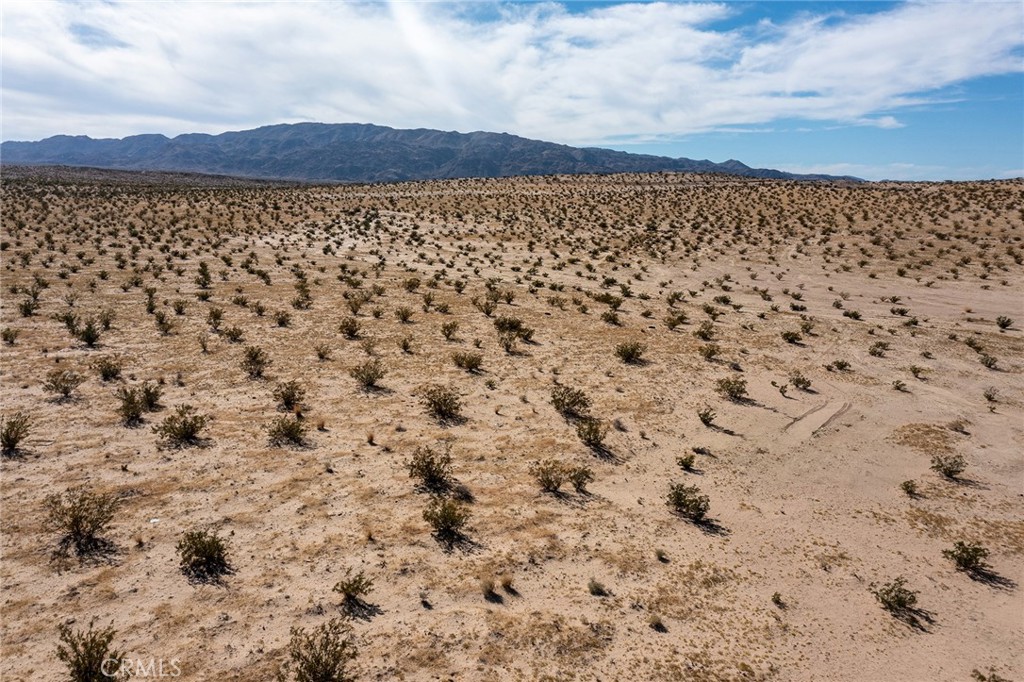 MLS #JT25255739 image #4