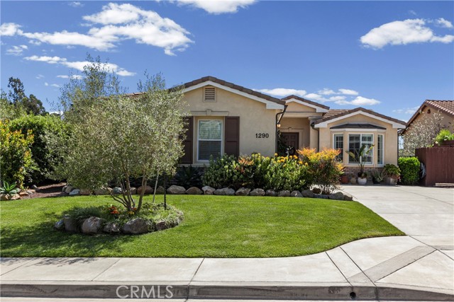 Front Image Thumbnail for CRPI26086604