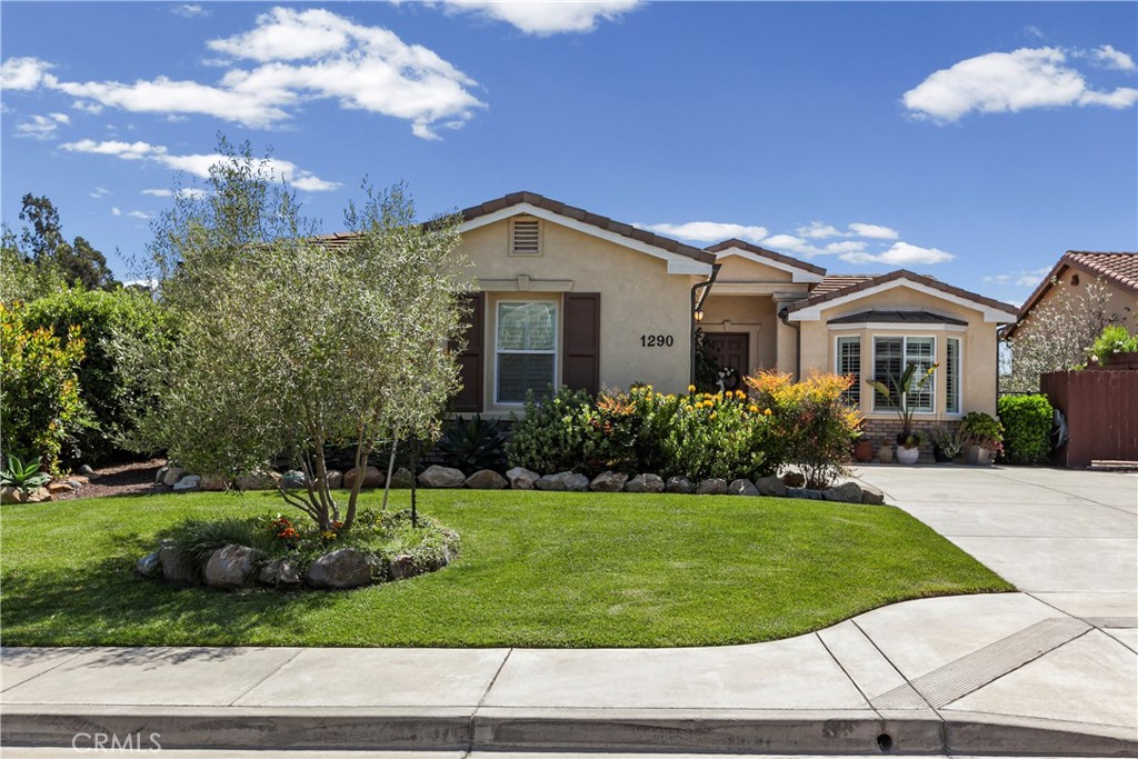 1290 Hollysprings