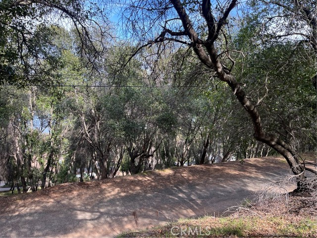 Detail Gallery Image 6 of 9 For 8444 Soda Bay Rd, Kelseyville,  CA 95451 - – Beds | – Baths