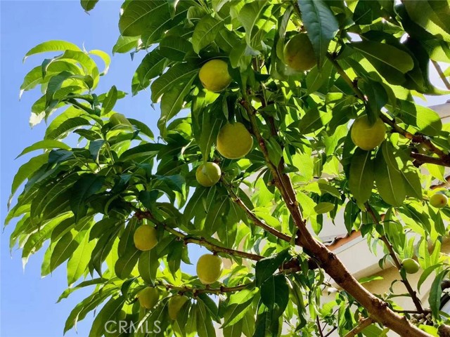 Detail Gallery Image 38 of 39 For Address Is Not Disclosed, Gardena,  CA 90249 - 5 Beds | 4 Baths