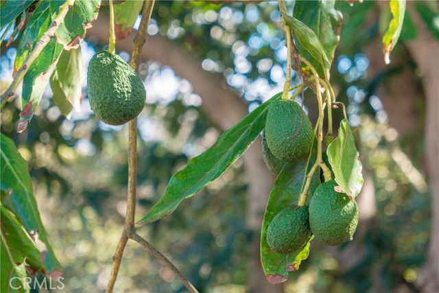 Detail Gallery Image 34 of 34 For 8 via Horca, Temecula,  CA 92590 - – Beds | – Baths