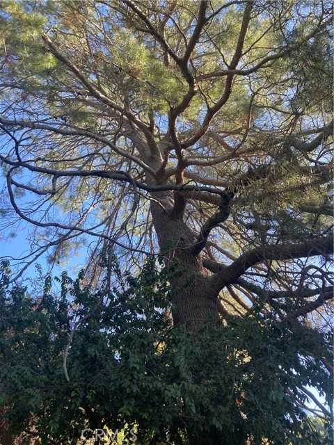 Detail Gallery Image 28 of 37 For 3633 Lavell Dr, Los Angeles,  CA 90065 - 1 Beds | 1 Baths