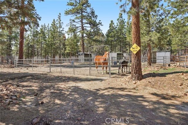 Detail Gallery Image 32 of 39 For 1039 Heritage Trl, Big Bear City,  CA 92314 - 4 Beds | 4/1 Baths
