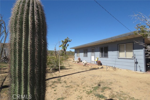 Detail Gallery Image 2 of 11 For 55560 Lum, Landers,  CA 92285 - 1 Beds | 1 Baths