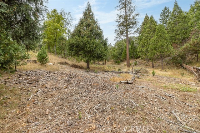 Front Image Thumbnail for CRFR25233535