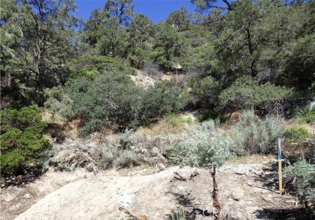 Detail Gallery Image 2 of 5 For 0 Escolon Trl, Frazier Park,  CA 93225 - – Beds | – Baths