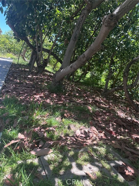 2009 W Las Lanas Lane, Fullerton CA: https://media.crmls.org/medias/f1eafada-8f45-4db5-a20b-42afdfcca68f.jpg