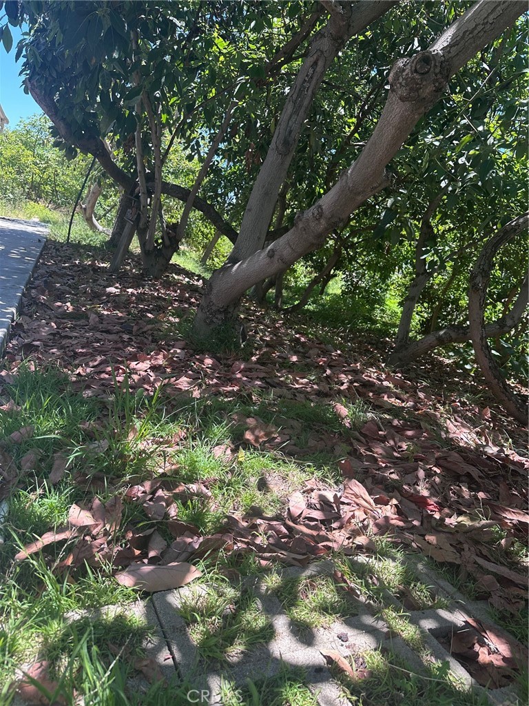 https://media.crmls.org/medias/f1eafada-8f45-4db5-a20b-42afdfcca68f.jpg?preset=X-Large