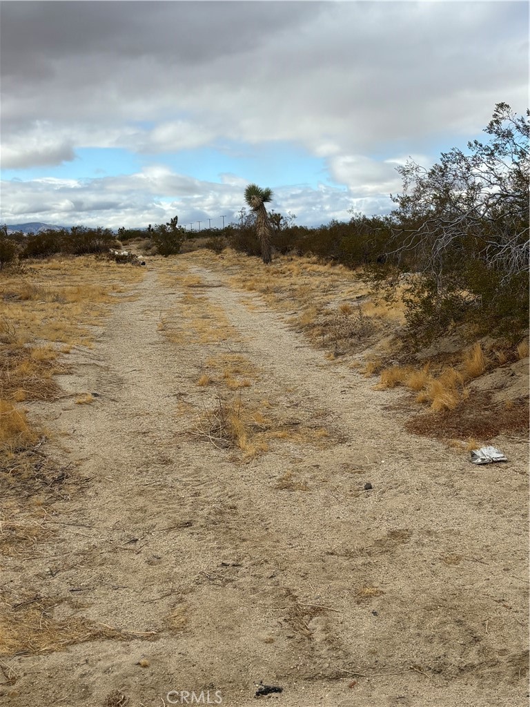 MLS #SR25028303 img 5