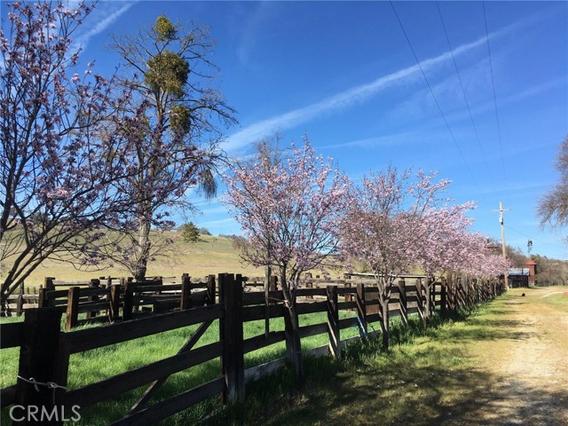 Image 8 of 59 For 3470 Ranchita Cyn Rd