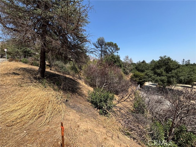360 E Waldon Place, Montecito Heights CA: https://media.crmls.org/medias/f1f3a4e2-ddaf-4b1a-b450-911c682a5607.jpg