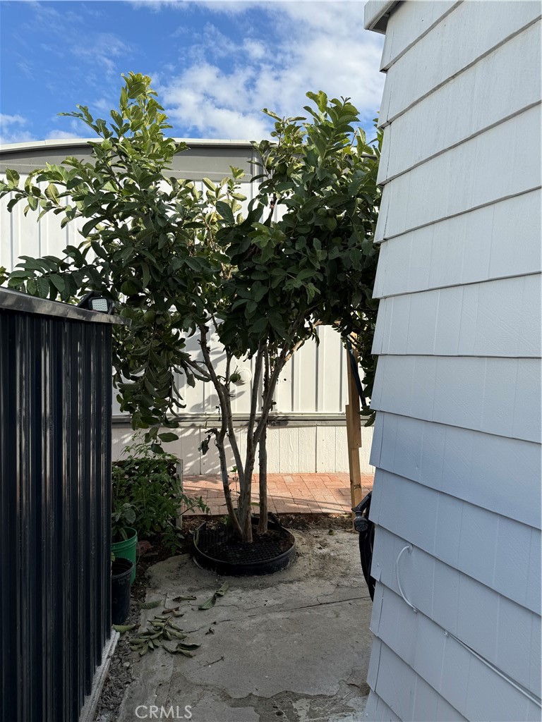 MLS #OC25261374 image #22