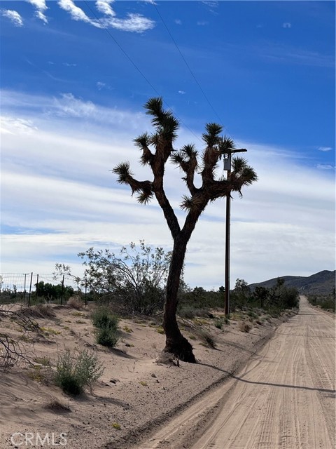 832 Bonita Avenue, Yucca Valley, California 92285, ,Land,For Sale,832 Bonita Avenue,CRIV23177672