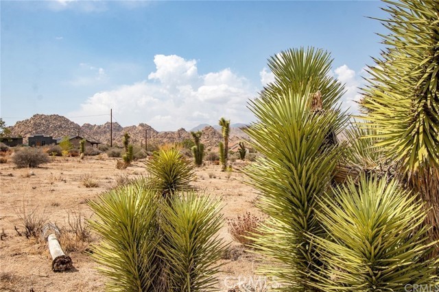 Detail Gallery Image 12 of 15 For 5545 Red Ryder Rd, Pioneertown,  CA 92268 - – Beds | – Baths